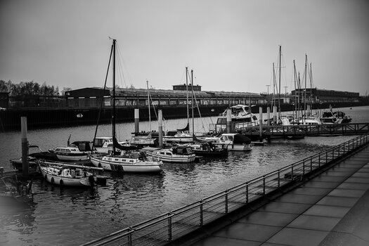 DSC_0910.jpg