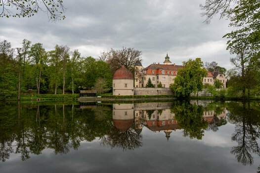 DSC_0409.jpg
