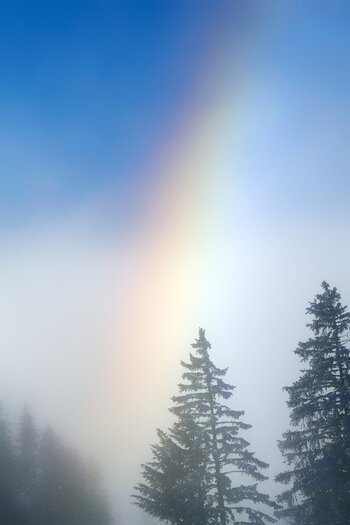 DSC_0043.F.jpg