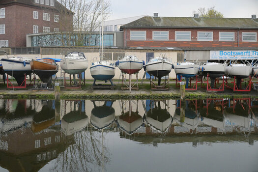 DSC_133101.jpg