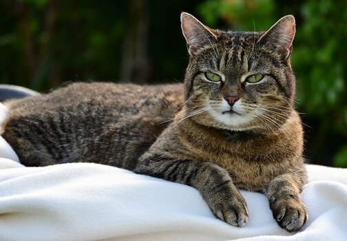 DSC_5958_ak.jpg