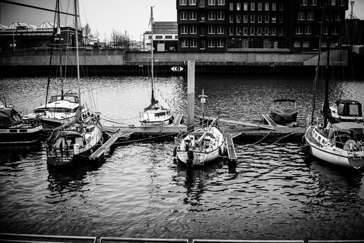 DSC_0914.jpg