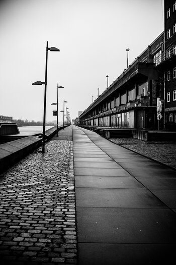 DSC_0915.jpg