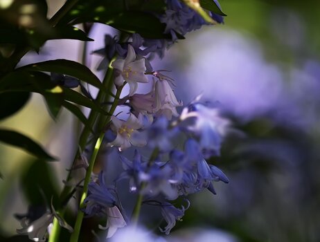 DSC_3838.F.jpg