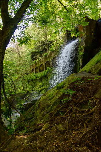 750_9047.jpg