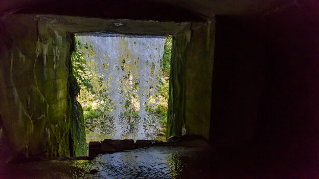 750_9052.jpg