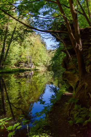 750_9064.jpg