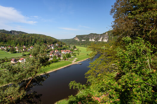 750_9127.jpg
