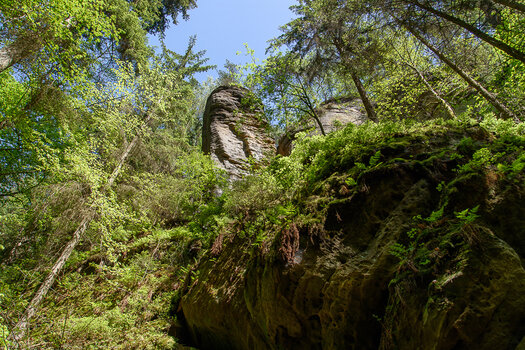 750_9177.jpg
