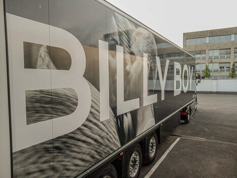Billy-Boy-2.jpg