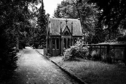 DSC_1909.jpg