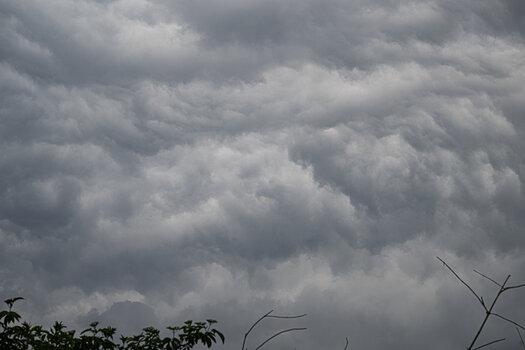 _DSC9956.jpg