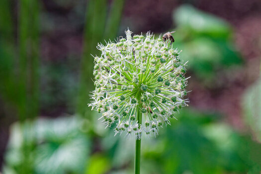 DSC_8487_DxO_DxO.jpg