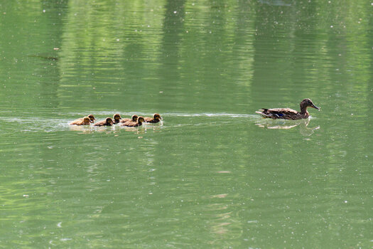 DSC_8508_DxO_DxO.jpg