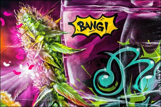 comp_Bang!.jpg