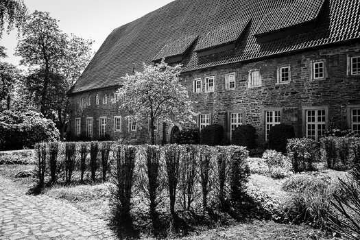 DSC_0287.jpg