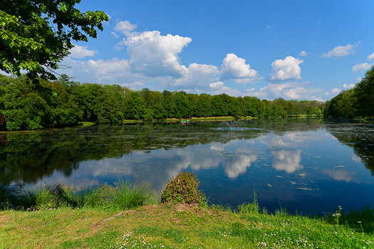 750_9274_DxO.jpg