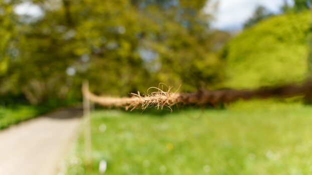 k_030_SIGMA_24-70mm_F2.8_DG_DN_II_Art_Referenz.jpg