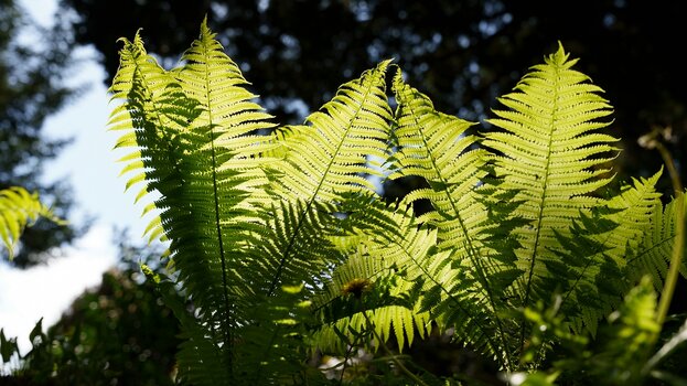 k_032_SIGMA_24-70mm_F2.8_DG_DN_II_Art_Referenz.jpg