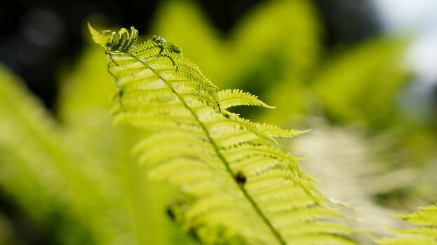 k_033_SIGMA_24-70mm_F2.8_DG_DN_II_Art_Referenz.jpg