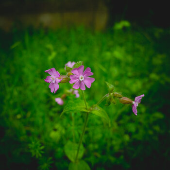 DSC_1956.jpg