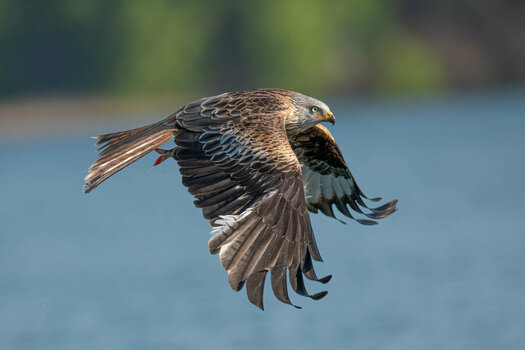 01340 Natur-WS 2023-Verbessert-RR.jpg