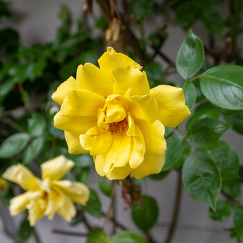 DSC_0692.jpg