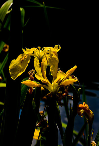 750_9309_DxO.jpg