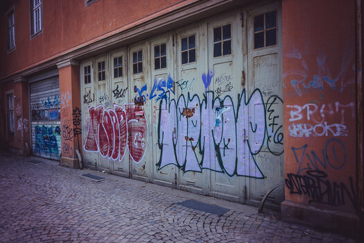 DSC_0789.jpg