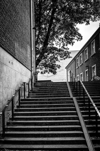 DSC_0558-Bearbeitet.jpg