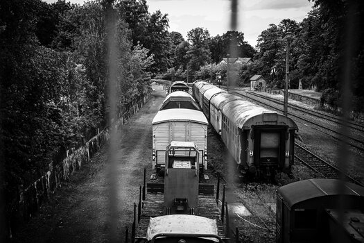 DSC_0446.jpg