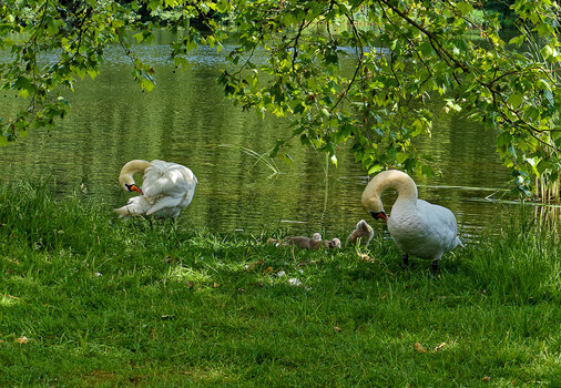 750_9331_DxO.jpg