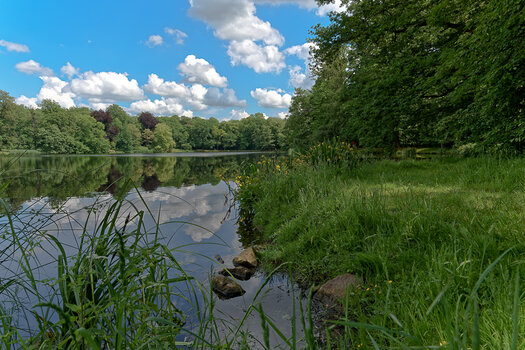 750_9336_DxO.jpg