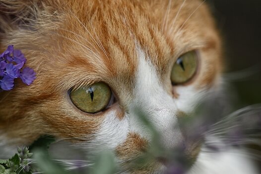 DSC_3930.f.jpg