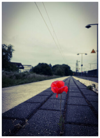 IMG_6941.jpeg