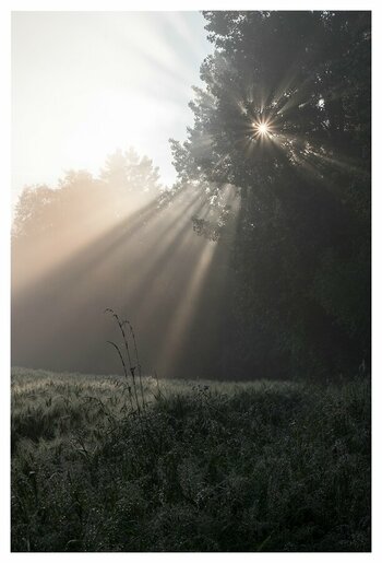 xSonne im Nebel (1 von 1).jpg