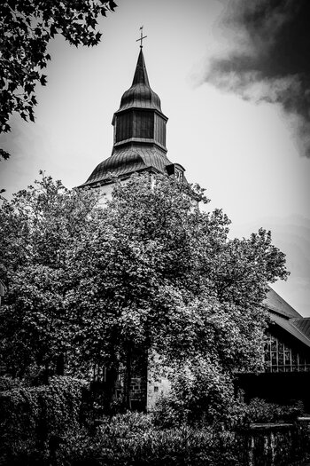 DSC_2243-Bearbeitet.jpg