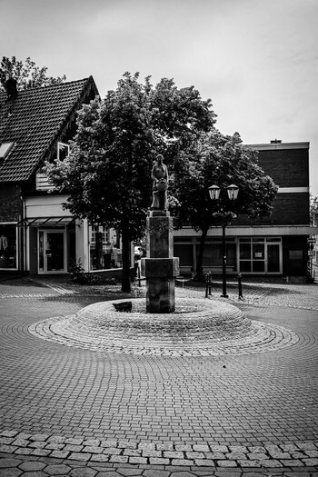 DSC_2222.jpg