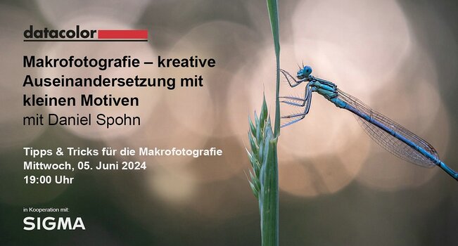 k_datacolor_sigma_makrofotografie.jpg