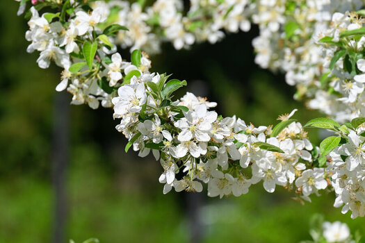 DSC_8368_DxO_DxO.jpg