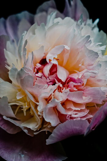 750_9391_DxO-Bearbeitet.jpg