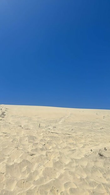 5b21981b-da06-489a-a4a3-a84d8a7565d3.jpeg