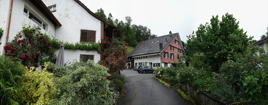 Neues Panorama 2..3.jpg