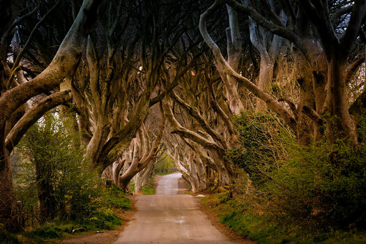 19_04_15Irland00009.jpg