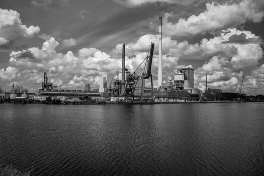 DSC_0976.jpg