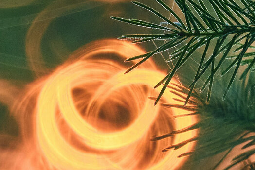 DSCF8749 crop.jpg