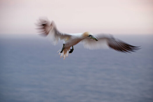 DSC_5940.jpg