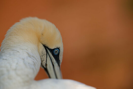 DSC_5517.jpg