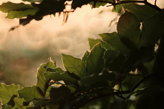 DSCF8753.jpg