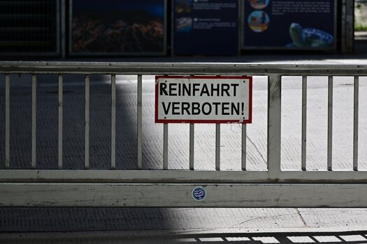 DSC_6119_klein.jpg